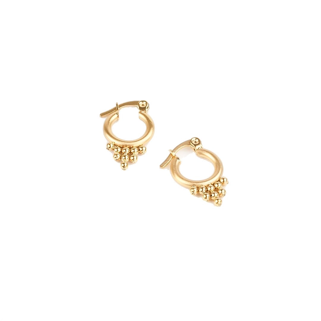 Sofia hoop earrings