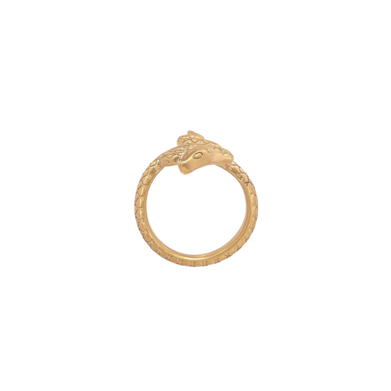 Snake ring - Adjustable