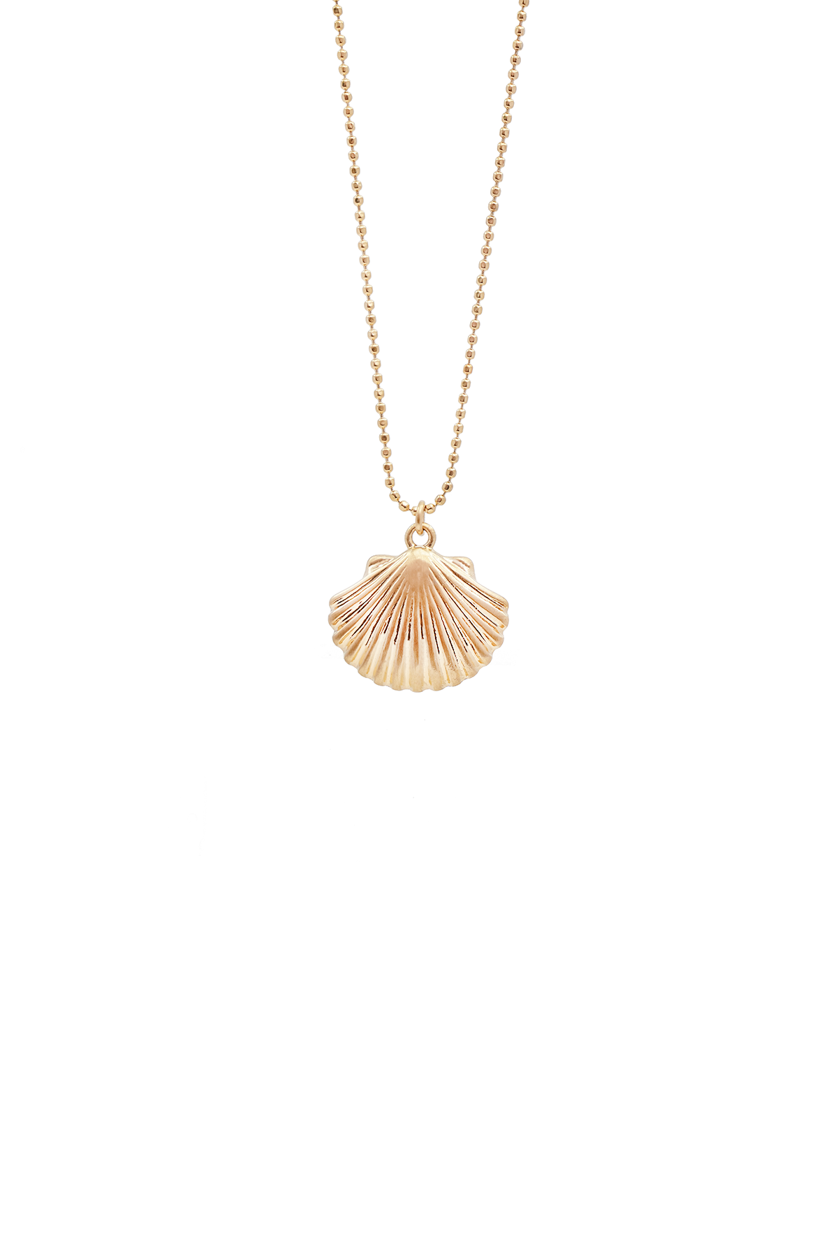 Shell necklace